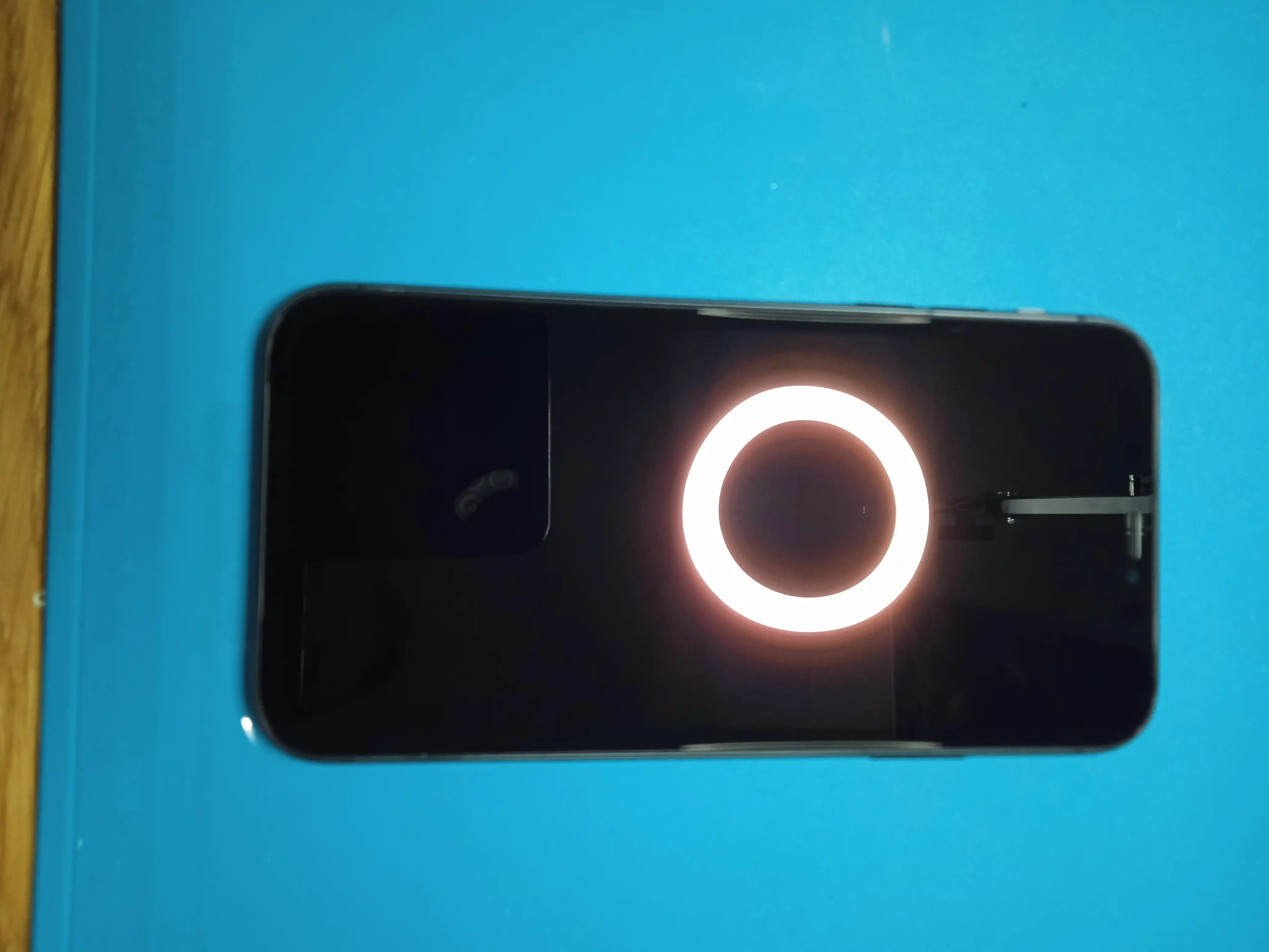 Image de iPhone 11 <br><br>Chassis et écran